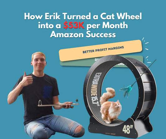 Case Study: $53K per Month with Cat Wheel